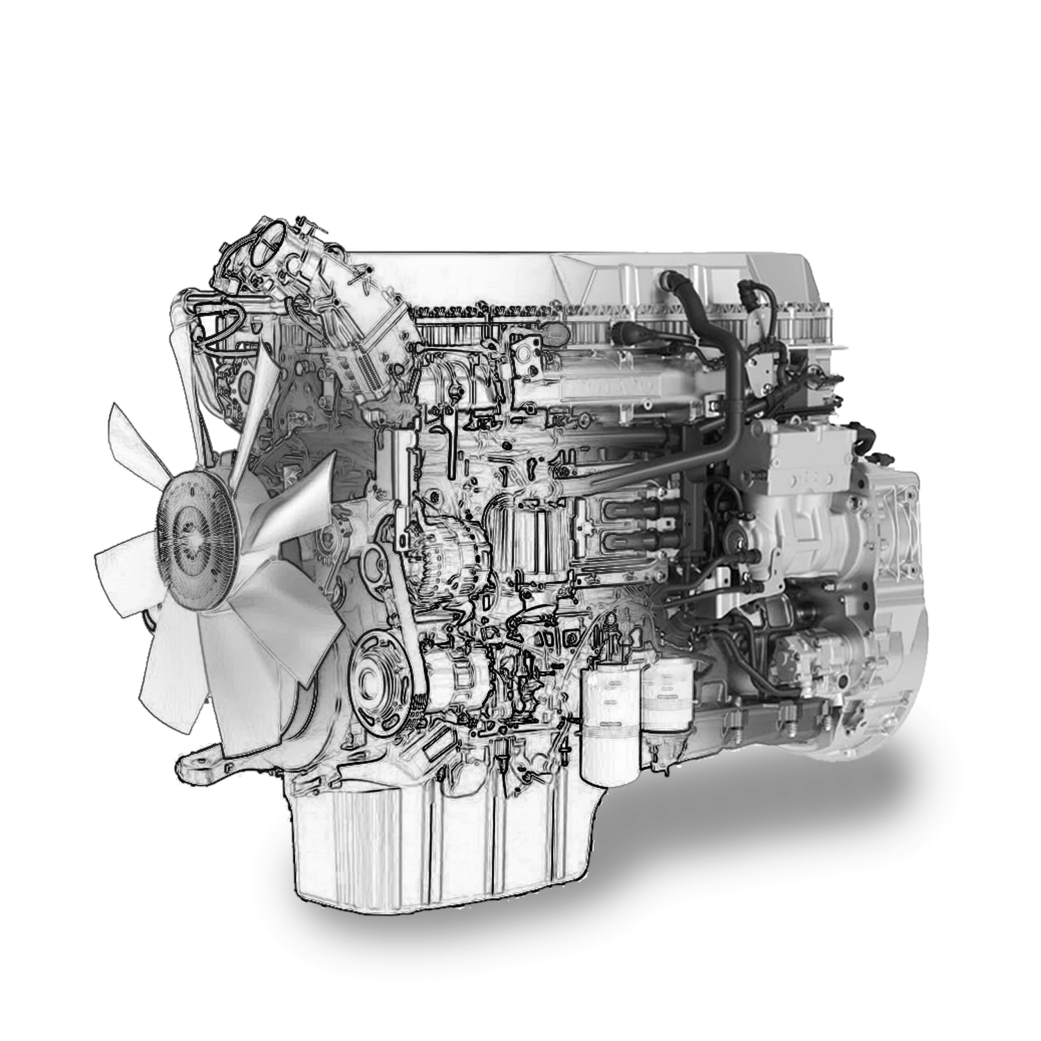 Motor